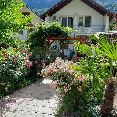 Pension Eden Băile Herculane Exterior foto