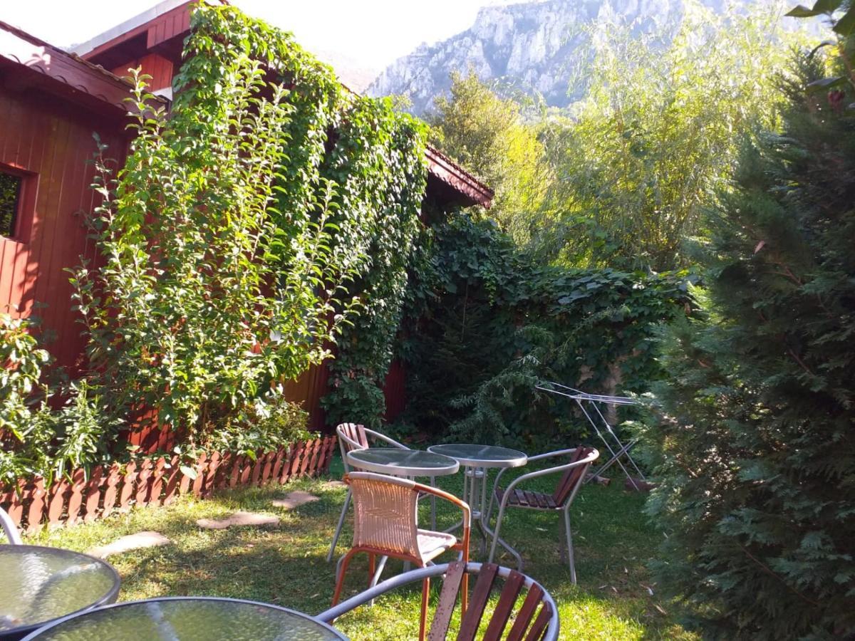Pension Eden Băile Herculane Exterior foto