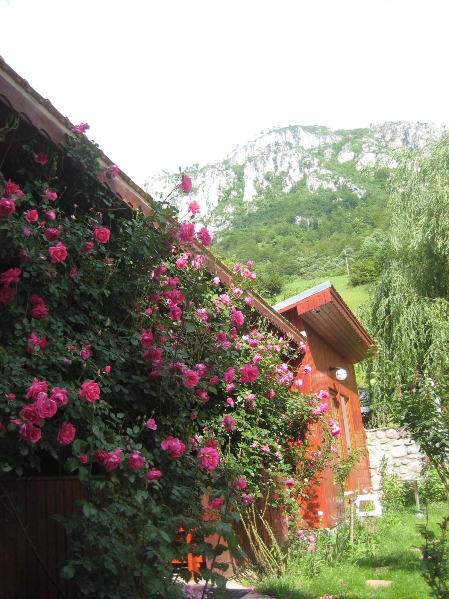 Pension Eden Băile Herculane Exterior foto
